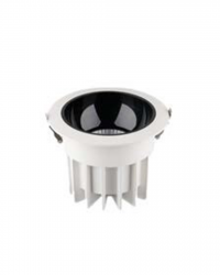 LED Professional Downlights Clear Glass